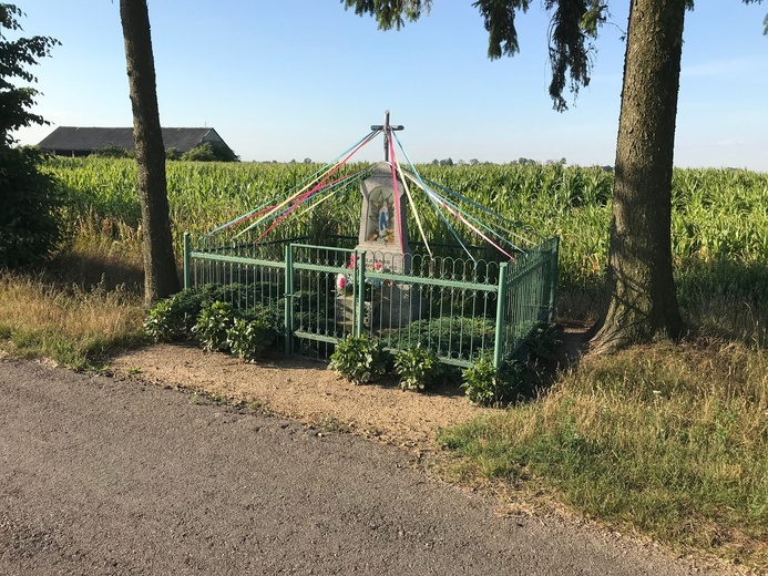Pielgrzymki ks. Grzegorza Zakrzewskiego
