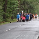 Grupa biało-brązowa w drodze na Jasną Górę