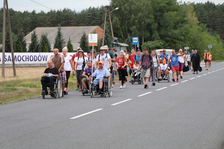 Grupa biało-brązowa w drodze na Jasną Górę