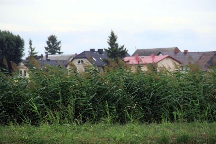 Otwarcie Szlaku Gąski w Gąsiorowicach