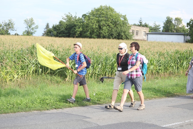 28. Pielgrzymka Cieszyńska 2019 na trasie - w Bziu Zameckim