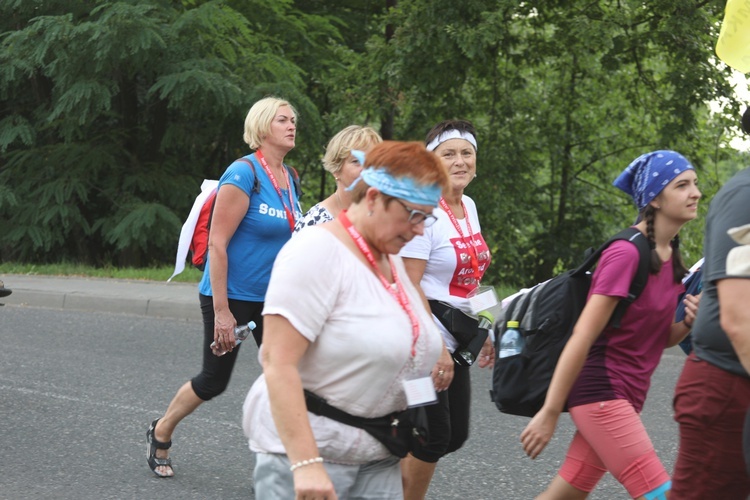 28. Pielgrzymka Cieszyńska 2019 na trasie - w Bziu Zameckim