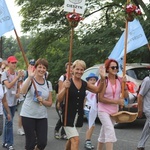 28. Pielgrzymka Cieszyńska 2019 na trasie - w Bziu Zameckim