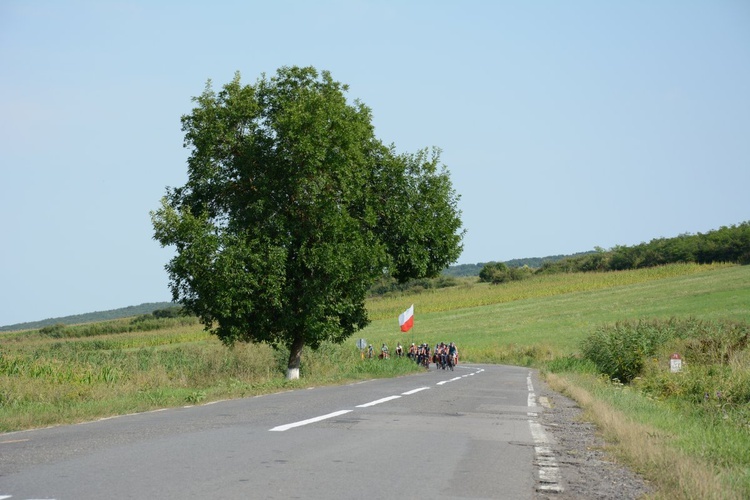 NINIWA Team - wyprawa 2019 - tydzień 2.