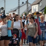 Strumień opolski w Kamieniu Śląskim