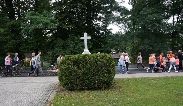 Grupa pomarańczowa z Kuźni Raciborskiej