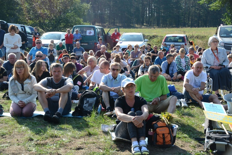 Poranek na polanie w Pietraszowie