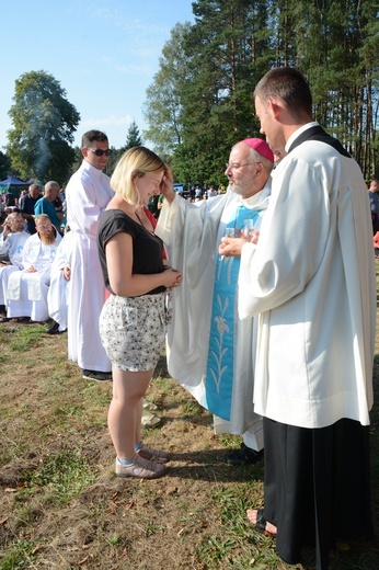 Poranek na polanie w Pietraszowie