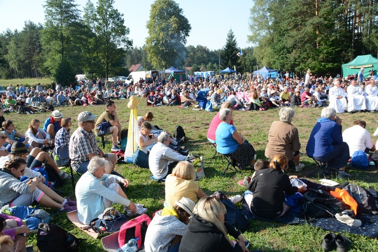 Poranek na polanie w Pietraszowie