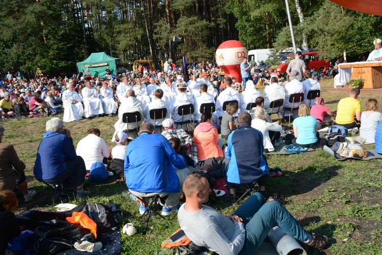 Poranek na polanie w Pietraszowie