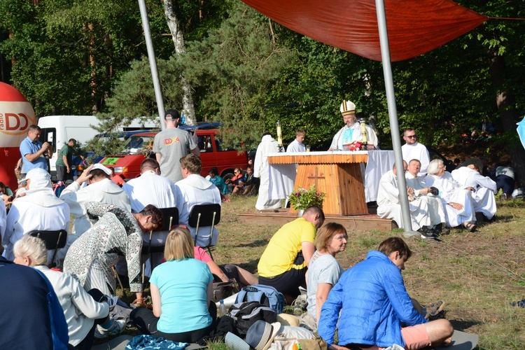 Poranek na polanie w Pietraszowie