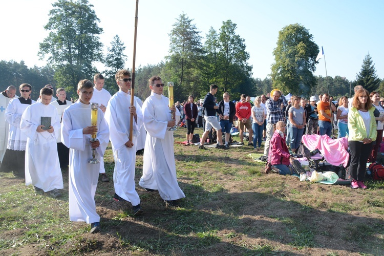 Poranek na polanie w Pietraszowie