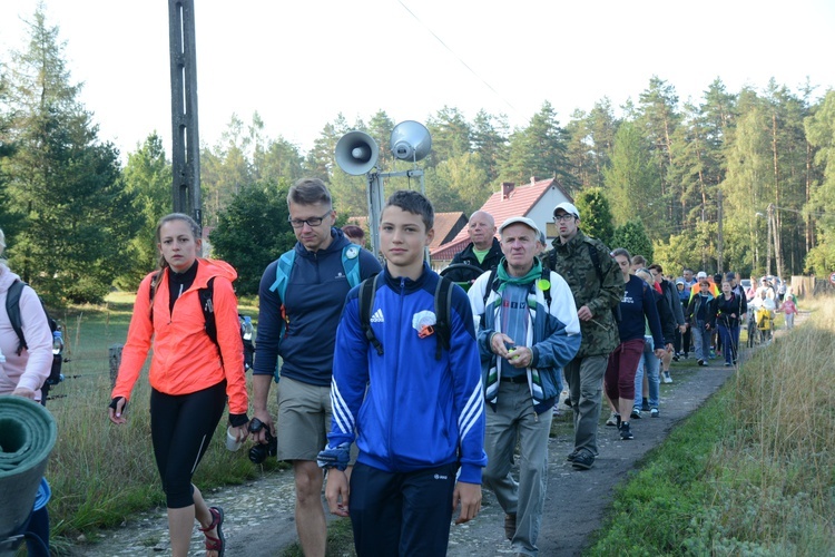 Poranek na polanie w Pietraszowie