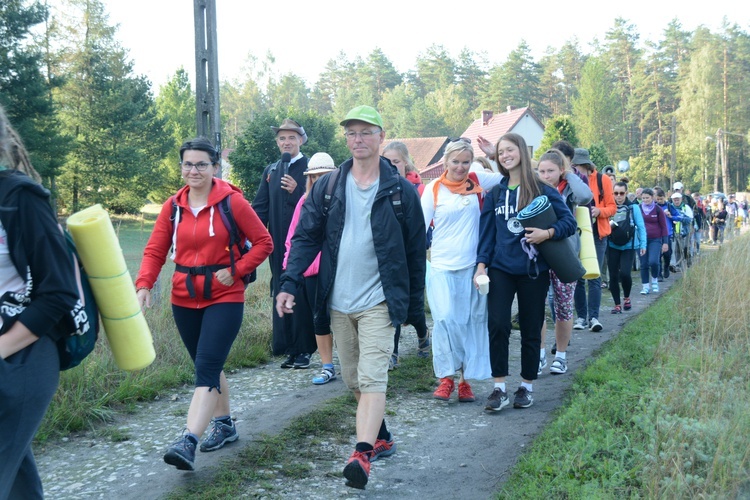 Poranek na polanie w Pietraszowie