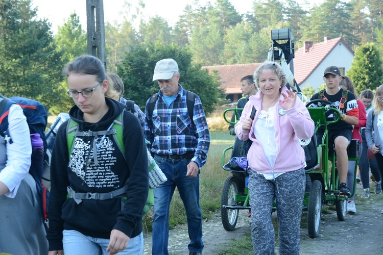 Poranek na polanie w Pietraszowie