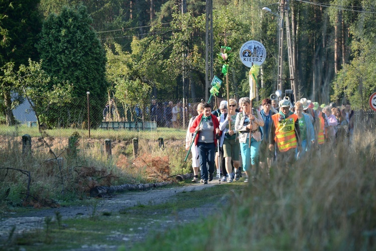 Poranek na polanie w Pietraszowie