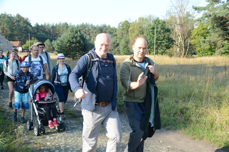 Poranek na polanie w Pietraszowie