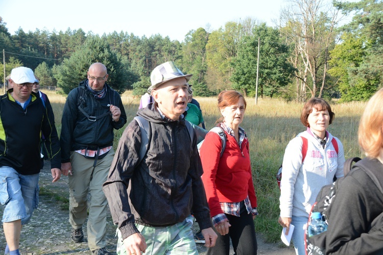 Poranek na polanie w Pietraszowie