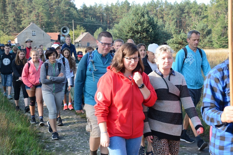 Poranek na polanie w Pietraszowie