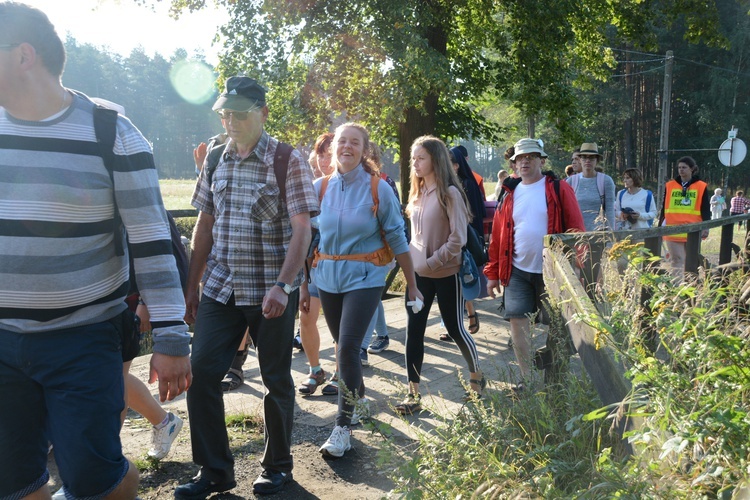 Poranek na polanie w Pietraszowie