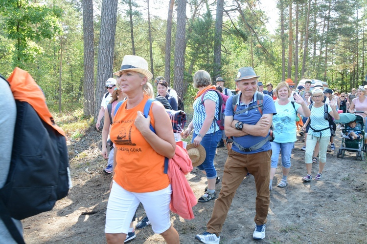 Pielgrzymi na leśnych ścieżkach