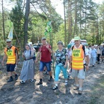 Pielgrzymi na leśnych ścieżkach