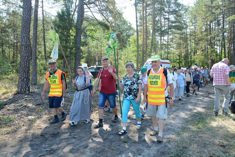 Pielgrzymi na leśnych ścieżkach