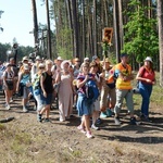 Pielgrzymi na leśnych ścieżkach