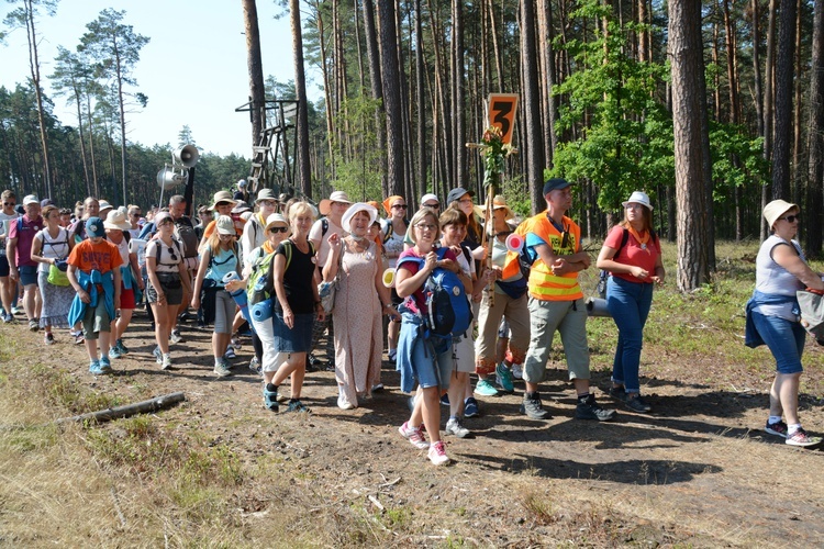 Pielgrzymi na leśnych ścieżkach