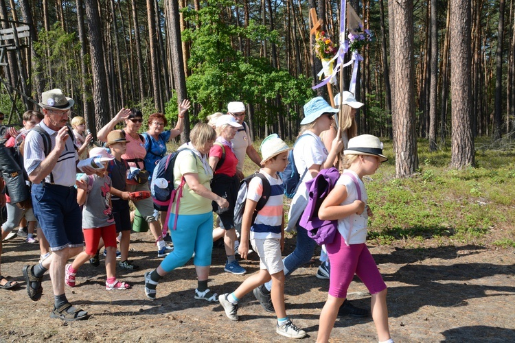 Pielgrzymi na leśnych ścieżkach