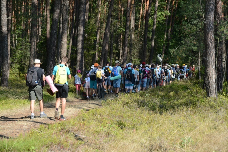 Pielgrzymi na leśnych ścieżkach