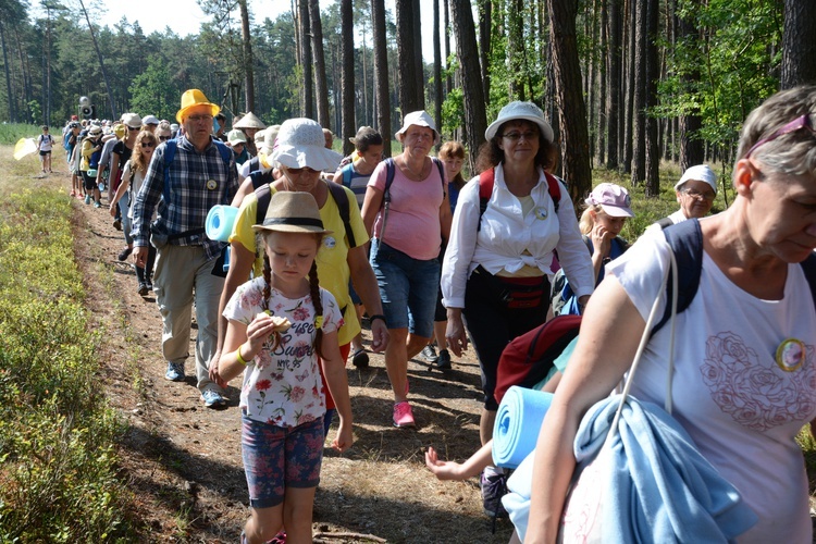 Pielgrzymi na leśnych ścieżkach