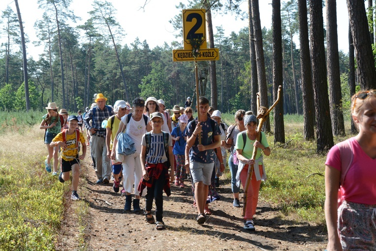 Pielgrzymi na leśnych ścieżkach