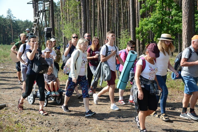 Pielgrzymi na leśnych ścieżkach