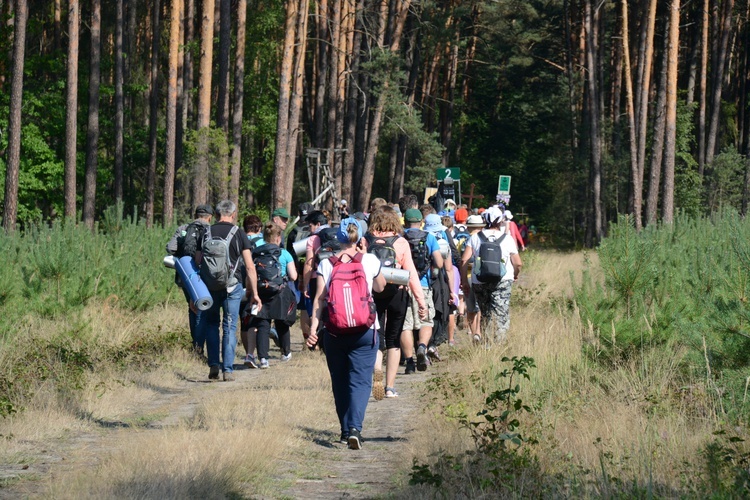 Pielgrzymi na leśnych ścieżkach