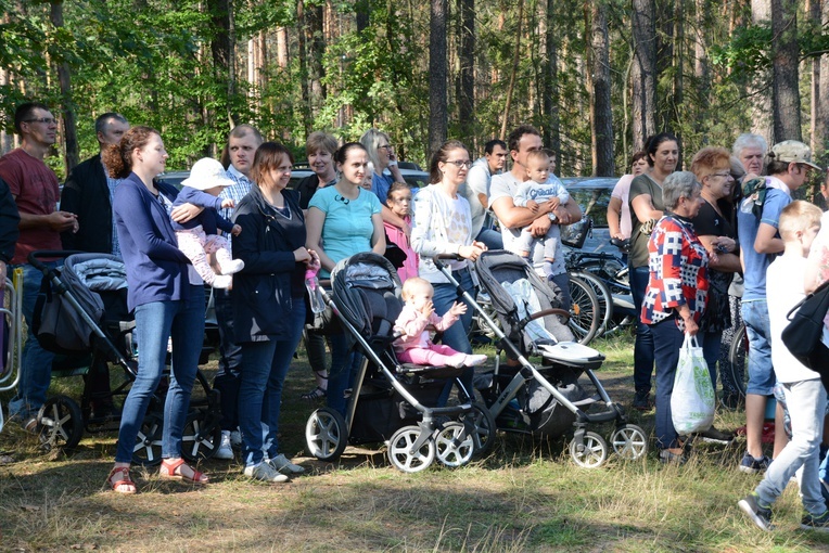 Pielgrzymi na leśnych ścieżkach