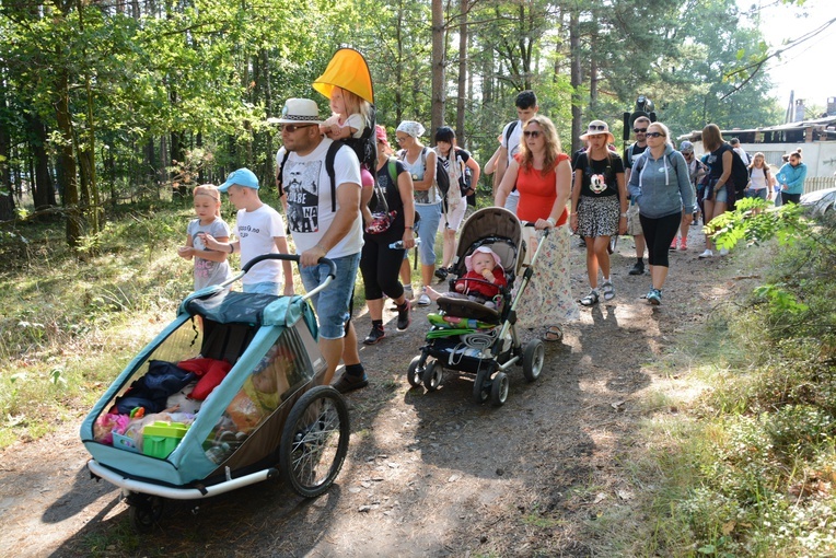 Pielgrzymi na leśnych ścieżkach