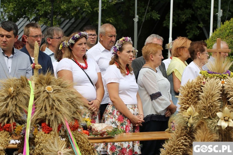 Dożynki diecezjalne w Rokitnie