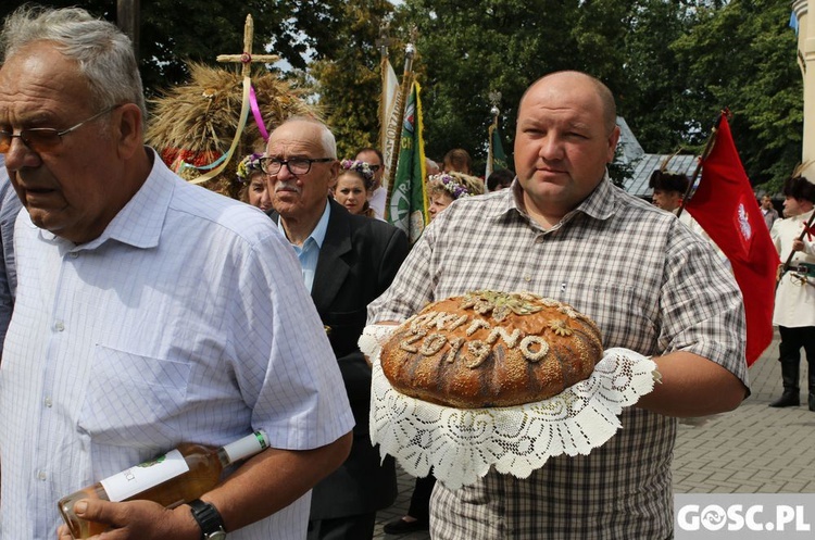 Dożynki diecezjalne w Rokitnie