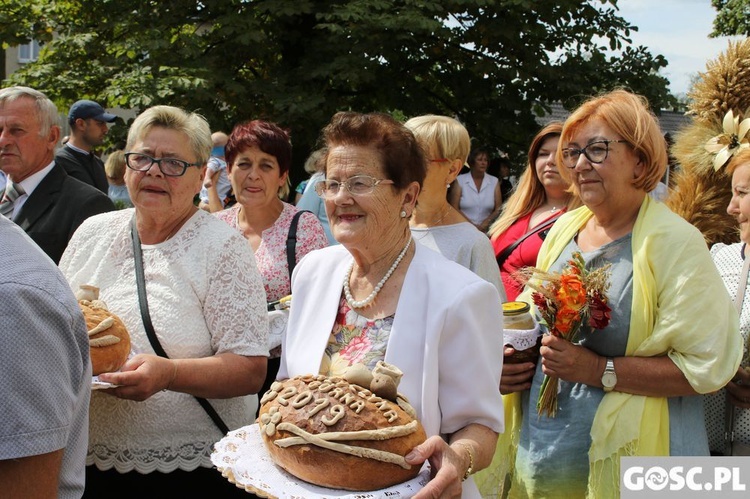 Dożynki diecezjalne w Rokitnie