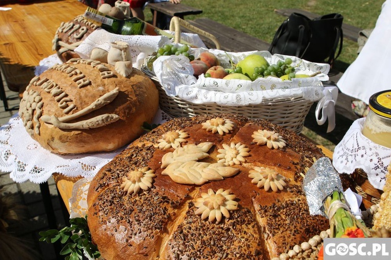 Dożynki diecezjalne w Rokitnie