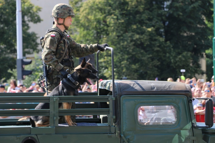 Katowice. Defilada "Wierni Polsce"