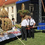 Dożynki miejskie w Tarnobrzegu