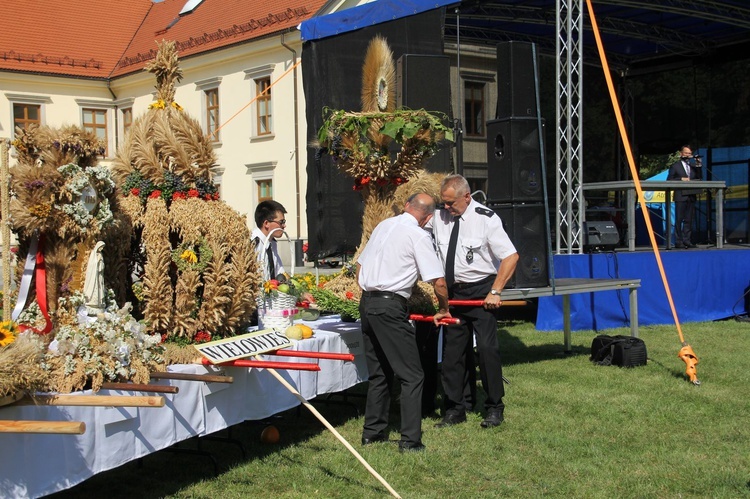 Dożynki miejskie w Tarnobrzegu