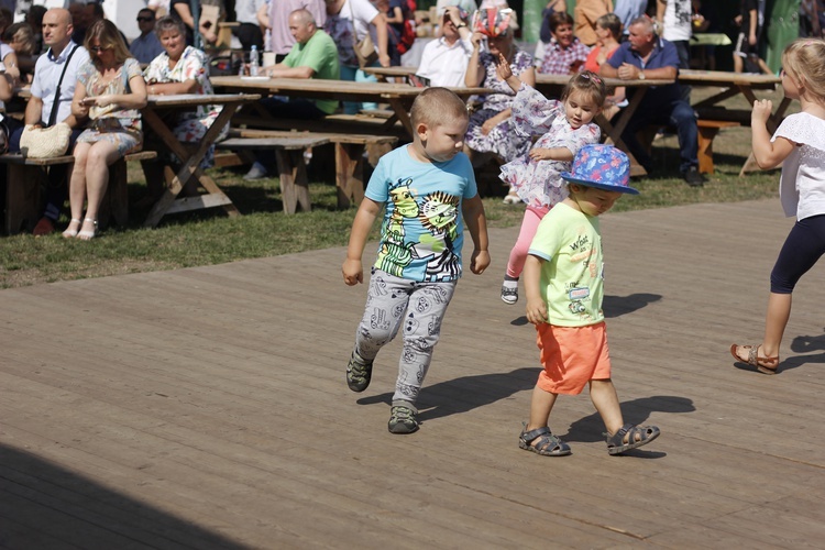 XVII Festyn Rodzinny w Bąkowie Górnym - piknik