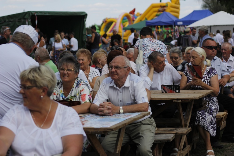 XVII Festyn Rodzinny w Bąkowie Górnym - piknik