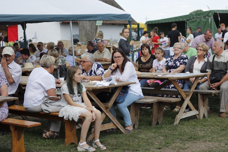 XVII Festyn Rodzinny w Bąkowie Górnym - piknik