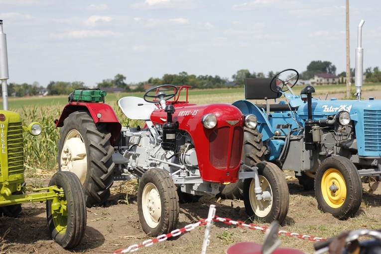 XVII Festyn Rodzinny w Bąkowie Górnym - piknik