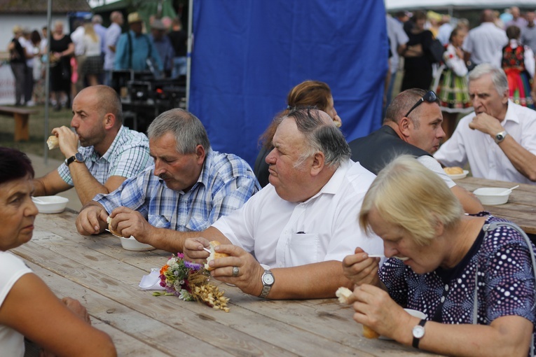 XVII Festyn Rodzinny w Bąkowie Górnym - piknik