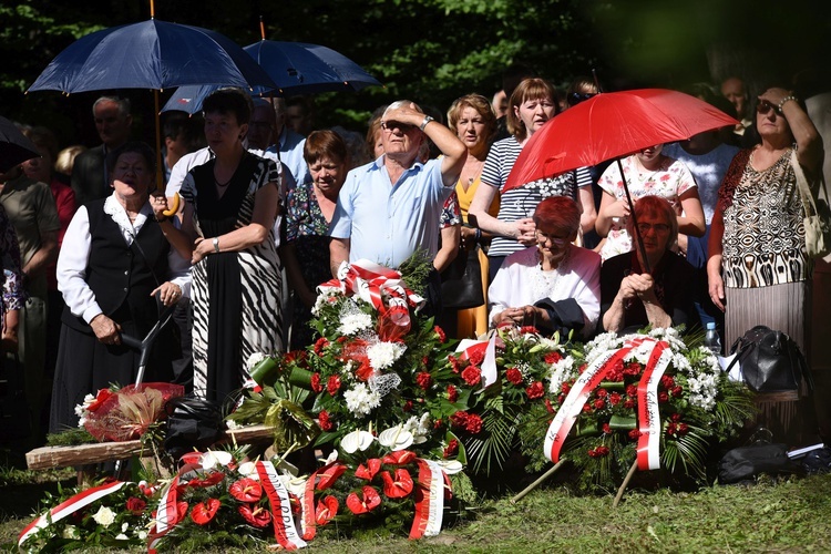 Kałużówka. 75 lat po bitwie